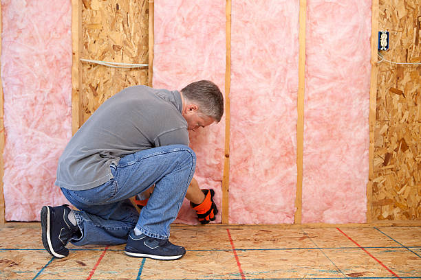 Best Insulation Installation Services in Hampton, GA